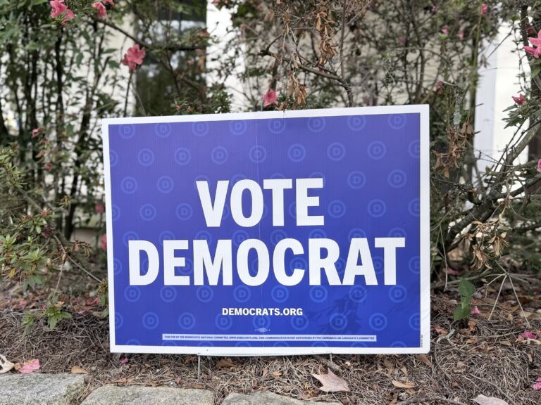 Vote Democrat sign in a yard.